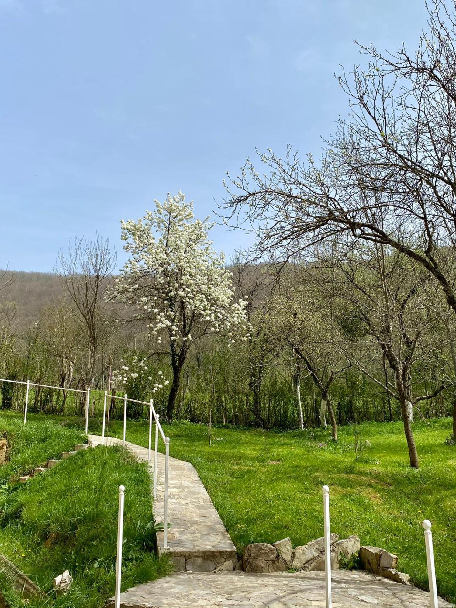 Atlantis Home Kulen Vakuf Kültér fotó