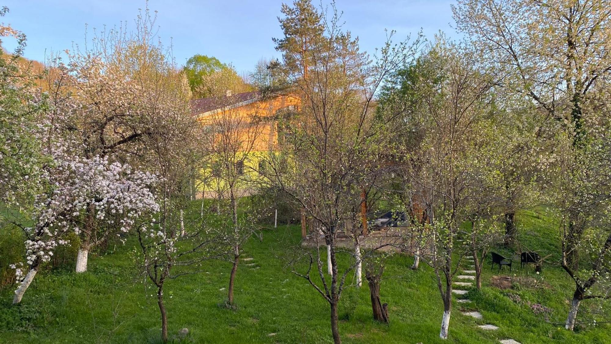 Atlantis Home Kulen Vakuf Kültér fotó
