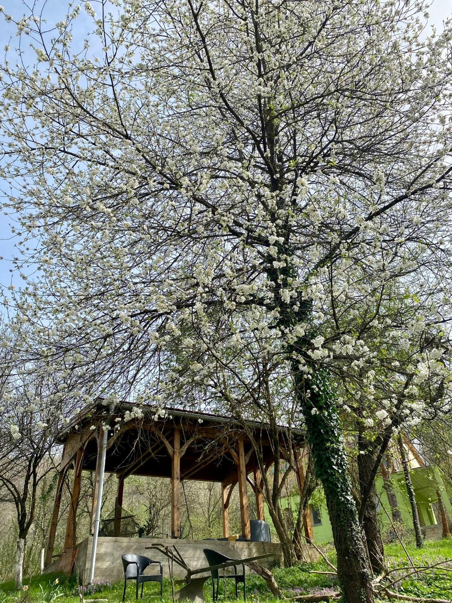 Atlantis Home Kulen Vakuf Kültér fotó